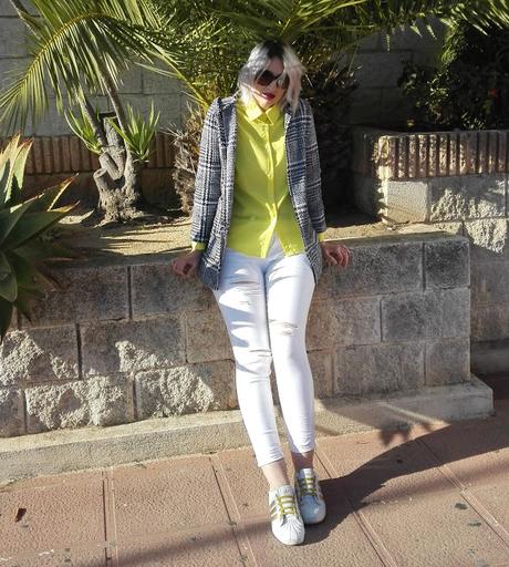 HOUNDSTOOTH HOUNDSTOOTH