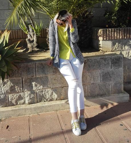 HOUNDSTOOTH HOUNDSTOOTH