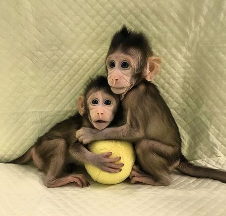 Tenemos dos problemas...