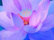 "perdiendo IDENTIDAD para llegar SER"