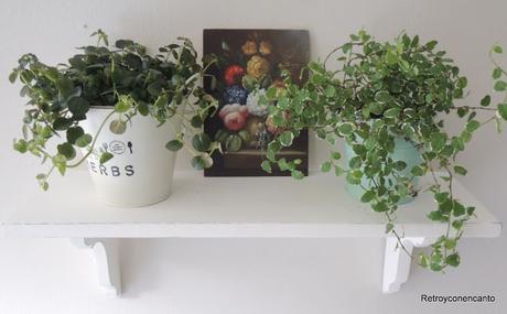 Un estante muy vegetal...
