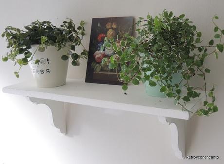 Un estante muy vegetal...