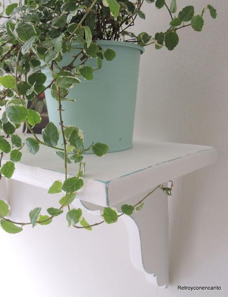 Un estante muy vegetal...