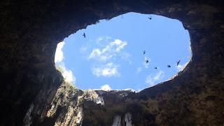 CONOCE UNA DE LAS MARAVILLAS DE LA NATURALEZA EN MEXICO