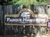 Visita Parque Nahuelito ¿dónde está tiranosaurio rex?)
