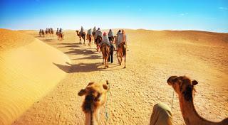 LO QUE NO SABIAS SOBRE DUBAI