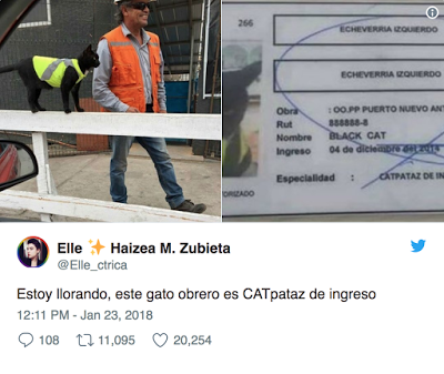 Descubrimientos de la semana Descubrimientos de la semana