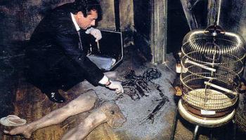 La Combustión Espontánea  ¿Esto es un mito o… esperen, Existe??