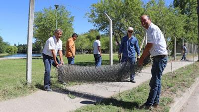 La Muni liberó al Albino Cotro de su viejo alambrado