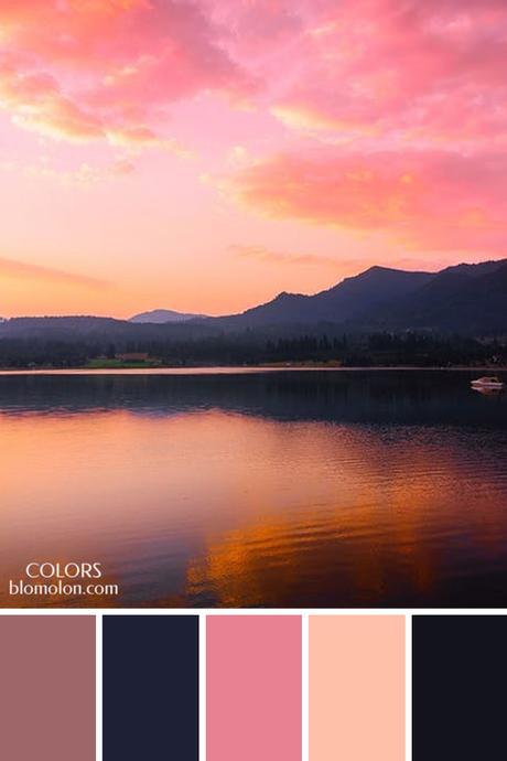 Paletas De Colores 21 Variedad De Color