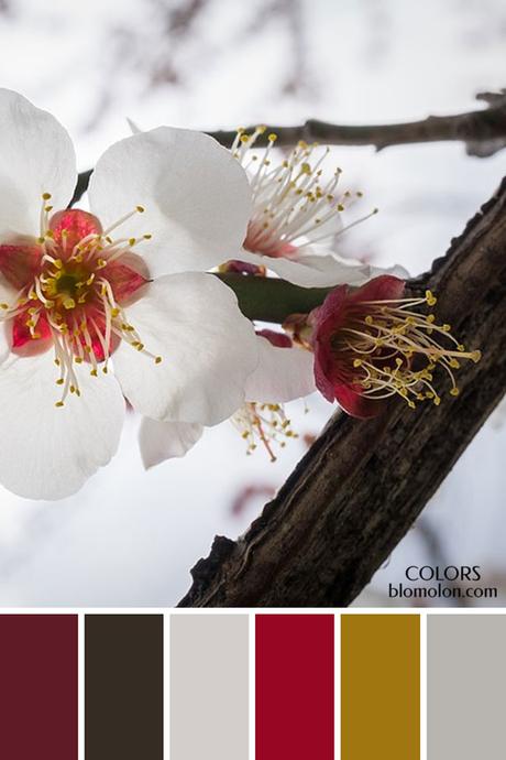 Paletas De Colores 21 Variedad De Color