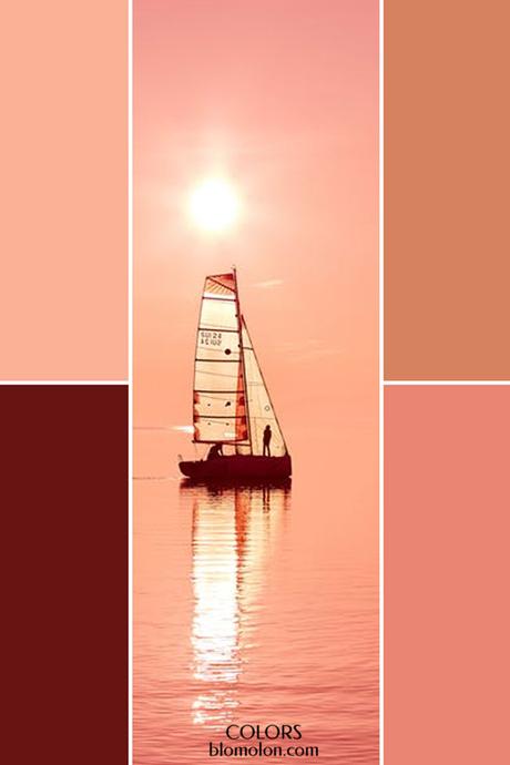 Paletas De Colores 21 Variedad De Color