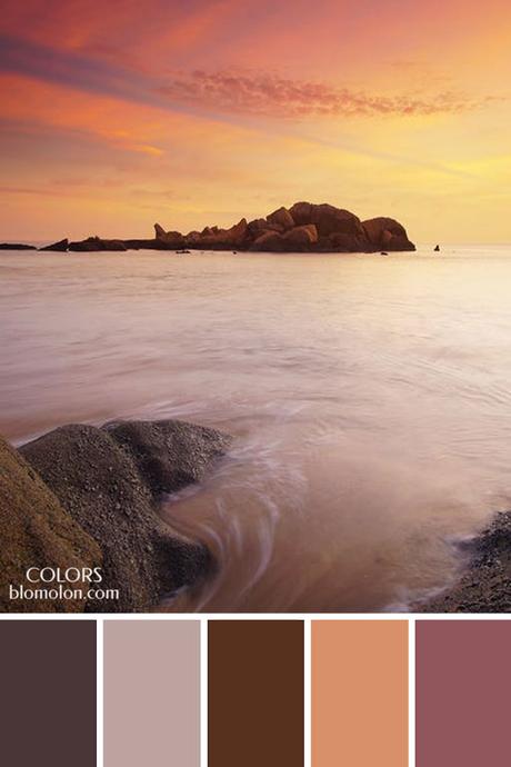 Paletas De Colores 21 Variedad De Color