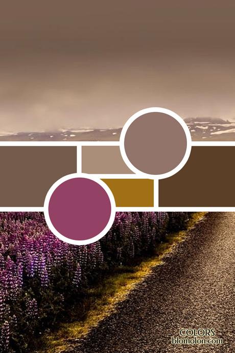 Paletas De Colores 21 Variedad De Color