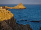 mirador