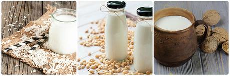 Tipos de bebidas vegetales