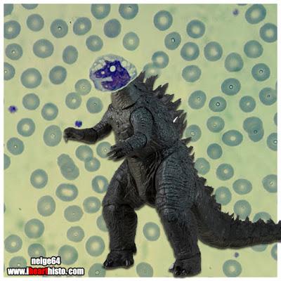 Los tejidos dinosaurianos de I❤Histo