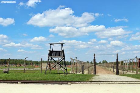 Un baño de realidad: Visita a los campos de concentración de Auschwitz (II)