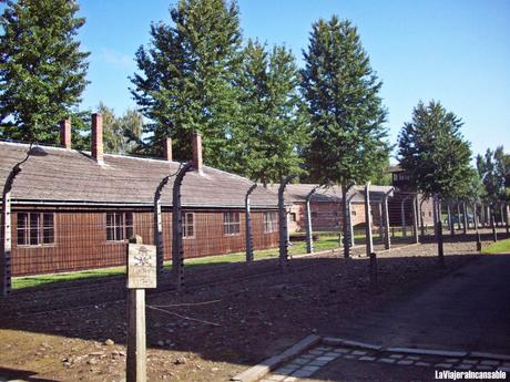 Un baño de realidad: Visita a los campos de concentración de Auschwitz (I)