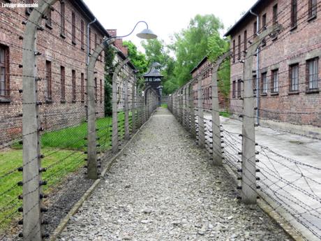 Un baño de realidad: Visita a los campos de concentración de Auschwitz (I)
