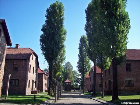 Un baño de realidad: Visita a los campos de concentración de Auschwitz (I)