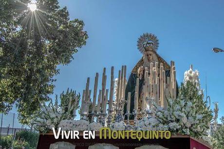 Nuestra Señora del Pilar en su Mayor Dolor procesionará bajo palio