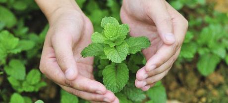 La imagen puede contener: una o varias personas, planta y naturaleza