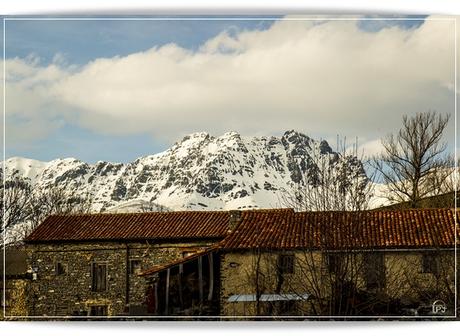 Del color de la esperanza
