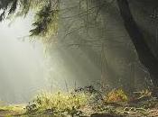 Intención atención