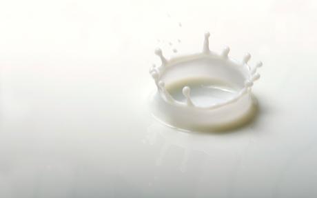 lácteos alimentos con proteínas