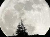 Eclipse lunar 2018: ¿Cuándo dónde verá?