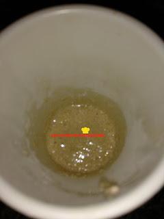 PAN EXPRESS DE AVENA EN MICROONDAS