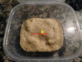 PAN EXPRESS DE AVENA EN MICROONDAS