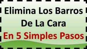 Como Eliminar Barros Rapido?