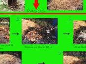 Haciendo montón compost