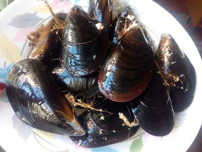 MEJILLONES AL CAVA CON AROMA DE AZAFRAN MEJILLONES AL CAVA CON AROMA DE AZAFRAN