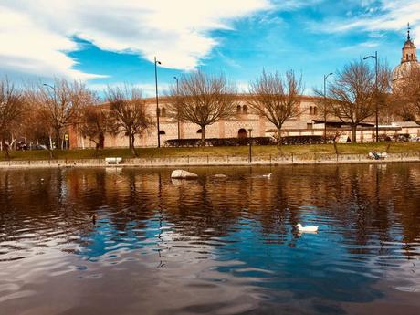 La imagen puede contener: cielo, árbol, exterior, agua y naturaleza