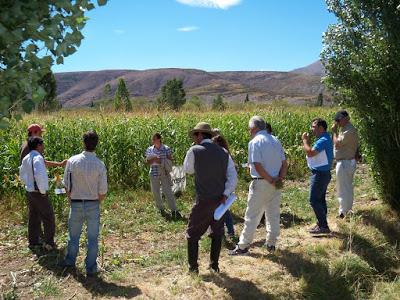 Curso en Japón y Nicaragua para extensionistas agrícolas