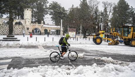 Totorotas en la nieve