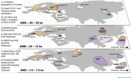 La separación genética entre asiáticos y europeos se produjo hace unos 40.000 años