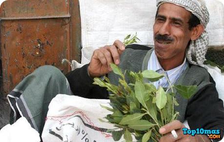 Khat-entre-las-10-drogas-menos-adictivas