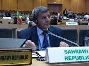 Ministro Delegado Encargado Asuntos Africanos condena conducta diplomática Marruecos foros Asociación Africana