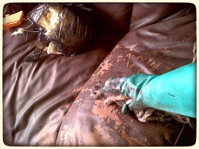 Teñido de muebles de cuero