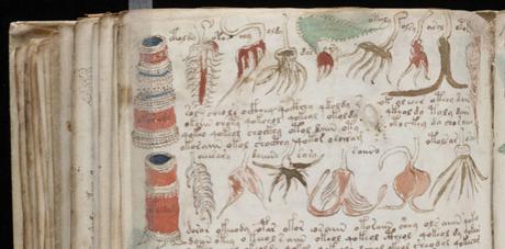 Una inteligencia artificial descifra el Códice Voynich, el libro más misterioso del mundo