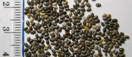 efectos secundarios de la chia