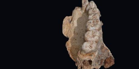 Adelantan 50.000 años La salida de África de los primeros humanos modernos