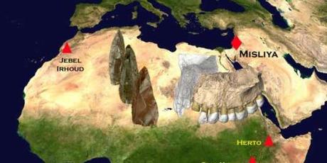 Adelantan 50.000 años La salida de África de los primeros humanos modernos