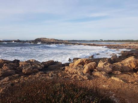 Tuttifrutti de enero Tuttifrutti de enero