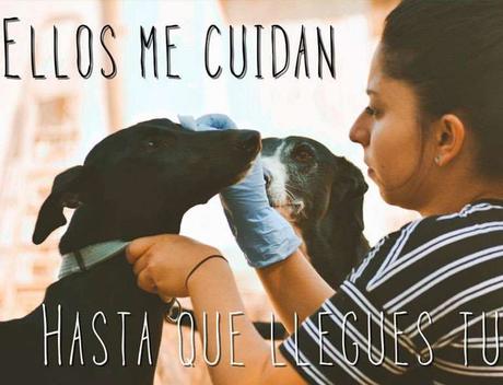 Asociación Siempre Fiel: Almas peludas y siempre fieles