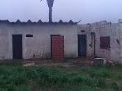 Libertad: tacho basura intendente